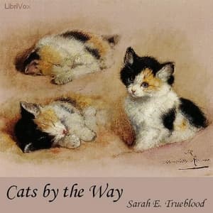 Cats by the Way