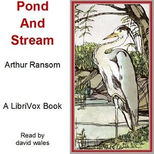 Pond And Stream