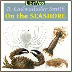 On The Seashore