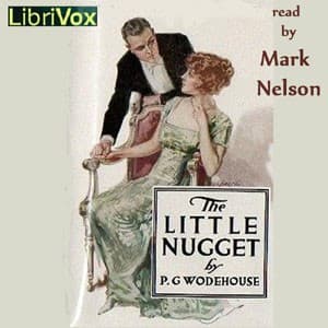 Little Nugget