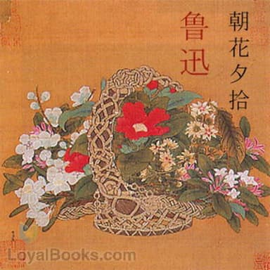 朝花夕拾 (Chao hua si she)