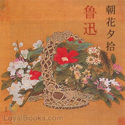 朝花夕拾 (Chao hua si she)