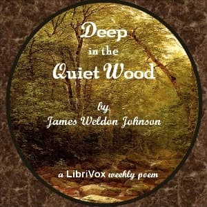 Deep In The Quiet Wood