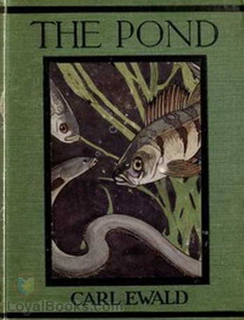 The Pond