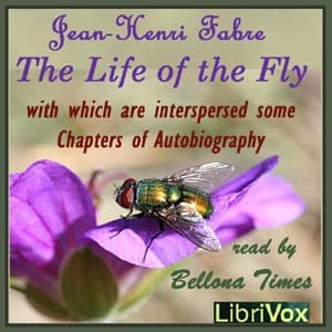 Life of the Fly, With Which are Interspersed Some Chapters of Autobiography