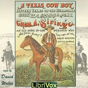 Texas Cowboy; Or Fifteen Years on the Hurricane Deck of a Spanish Pony