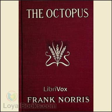 The Octopus