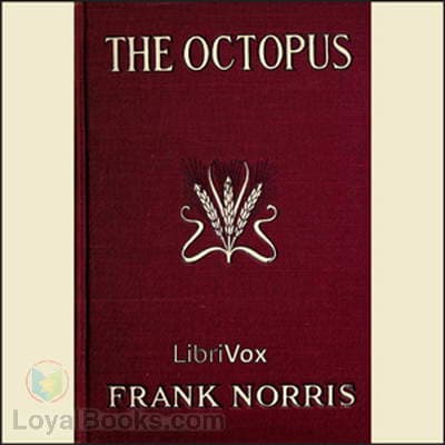 The Octopus