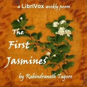 First Jasmines