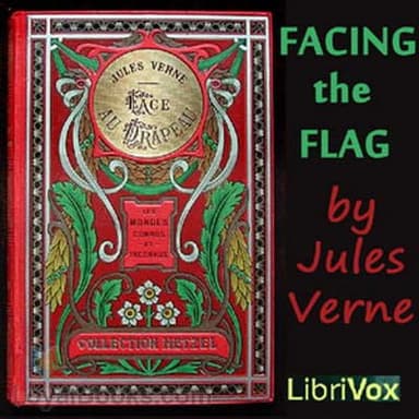 Facing the Flag