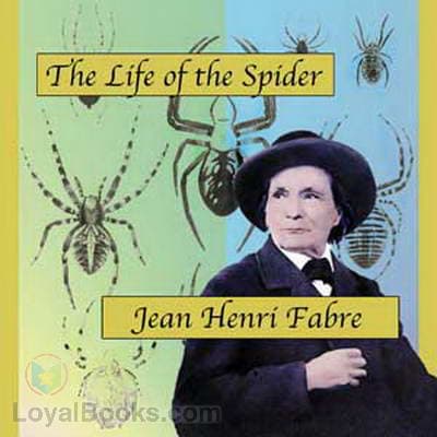 Life of the Spider