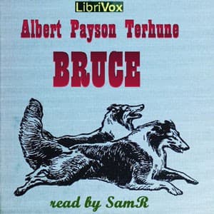 Bruce
