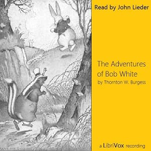 Adventures of Bob White