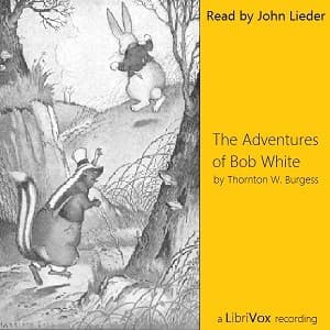 Adventures of Bob White