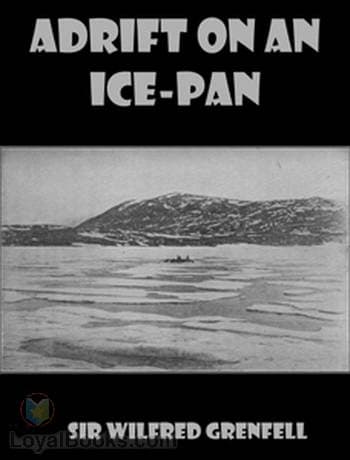 Adrift on an Ice-Pan