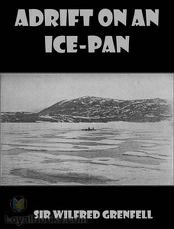 Adrift on an Ice-Pan