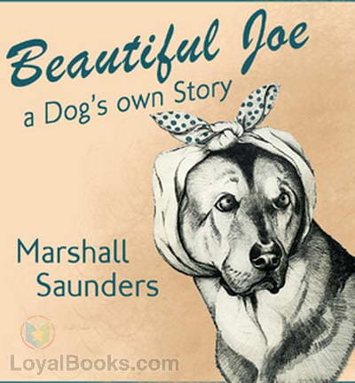 Beautiful Joe