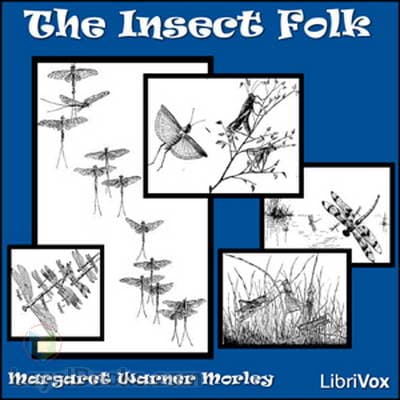 The Insect Folk