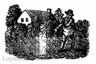 The Planters of Colonial Virginia