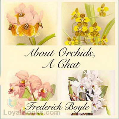 About Orchids, a Chat