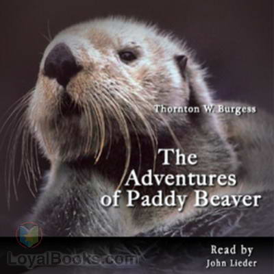 The Adventures of Paddy Beaver