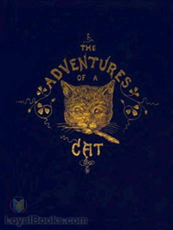 The Adventures of a Cat And a Fine Cat too!