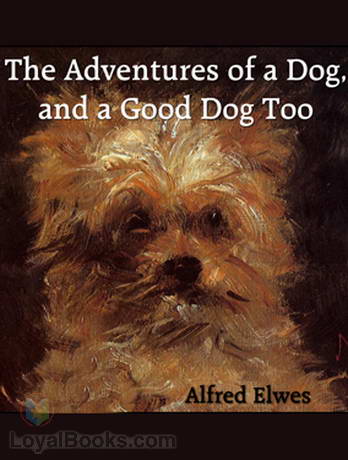 The Adventures of a Dog, and a Good Dog Too