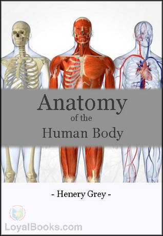 Anatomy of the Human Body