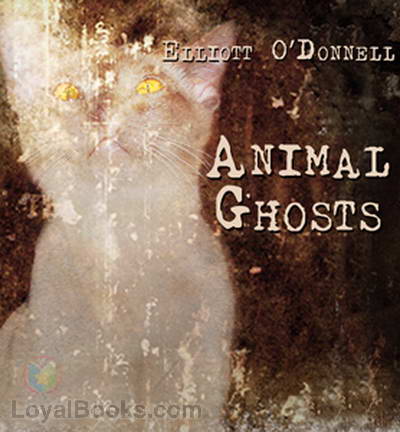 Animal Ghosts