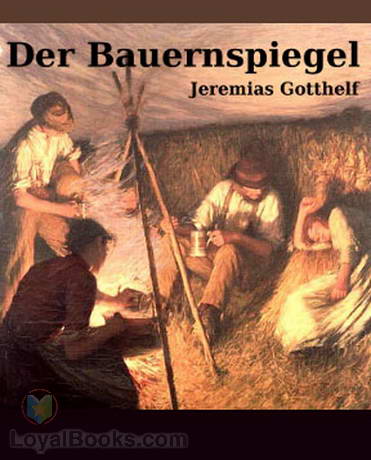 Der Bauernspiegel