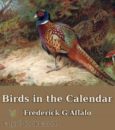 Birds in the Calendar