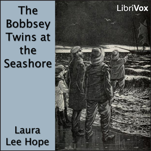 The Bobbsey Twins at the Seashore