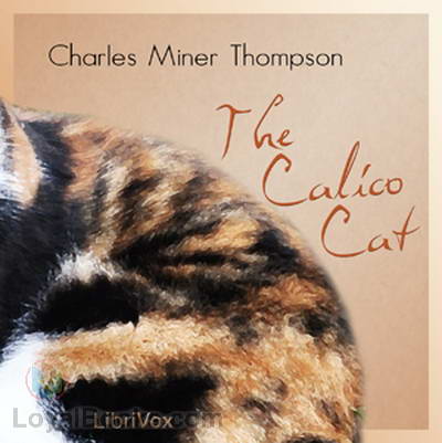 The Calico Cat