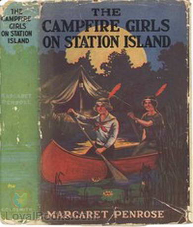 The Campfire Girls on Station Island or, The Wireless from the Steam Yacht