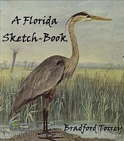 A Florida Sketch-Book