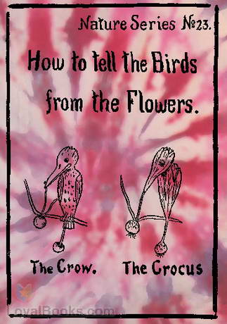 How to Tell the Birds from the Flowers