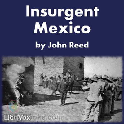 Insurgent Mexico