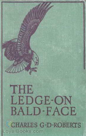 The Ledge on Bald Face