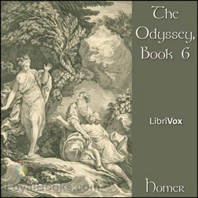 The Odyssey, Book 6