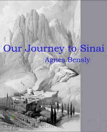 Our Journey to Sinai