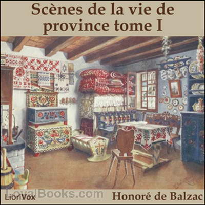 Scènes de la vie de province tome I