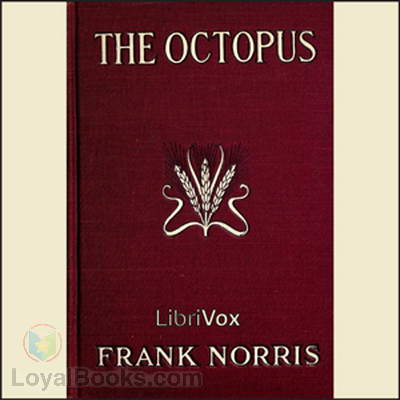 The Octopus