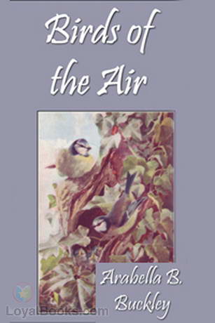 Birds of the Air