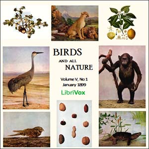 Birds and All Nature, Vol. V, No 1, January 1899