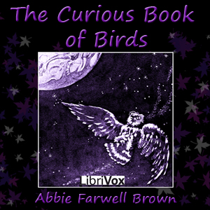 Curious Book of Birds