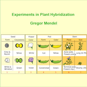 Experiments in Plant Hybridisation