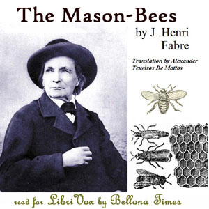 Mason-Bees