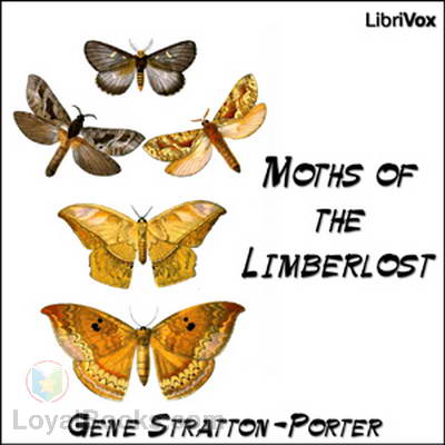 Moths of the Limberlost