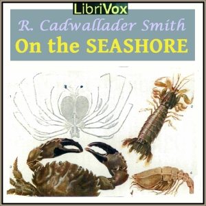 On The Seashore