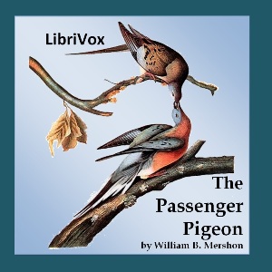 Passenger Pigeon